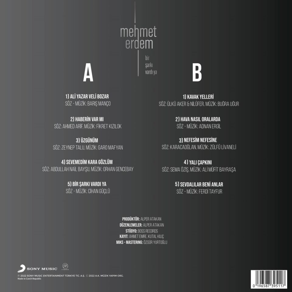 Mehmet Erdem Bir Şarkı Vardı Ya - Plak