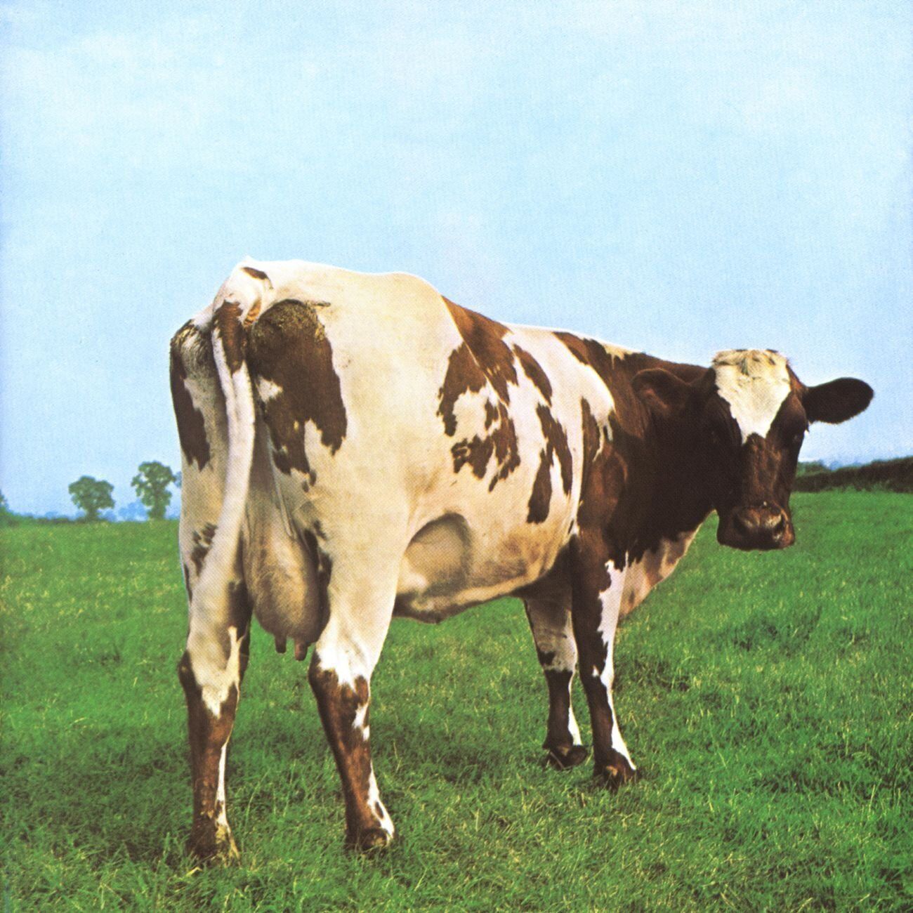 Pink Floyd Atom Heart Mother (Remastered) - Plak