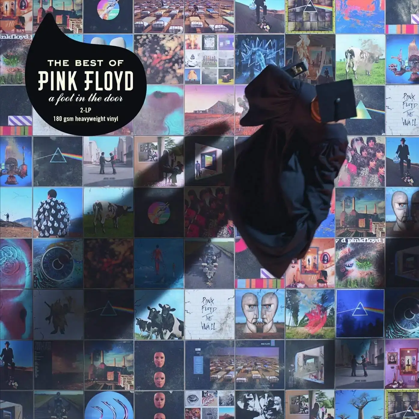 Pink Floyd The Best Of Pink Floyd: A Foot In The Door - Plak
