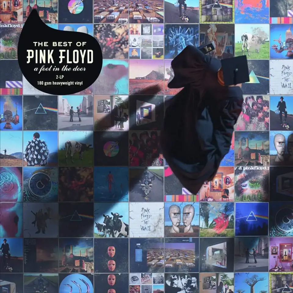 Pink Floyd The Best Of Pink Floyd: A Foot In The Door - Plak