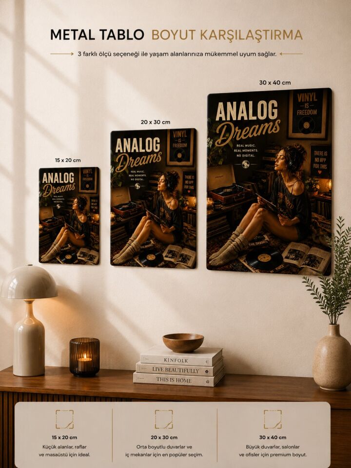Plak Hikayeleri Kolleksiyonu Analog Anlar Metal Tablo